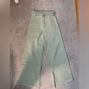 Zara Marine Pants